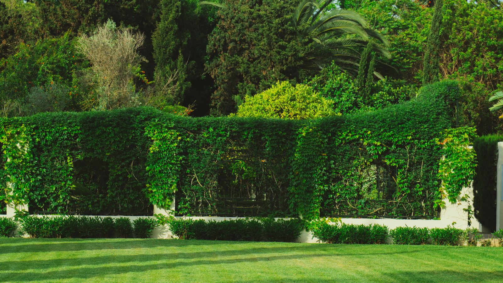 Banner Image 3